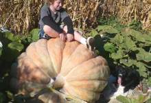 It’s the Great Pumpkin, Santa Barbara
