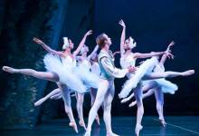 Swan Lake