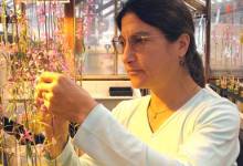 UCSB Scientist Proposes New Type of Seed Bank