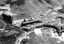 Jellyfish Shut Down Diablo Canyon Power Plant