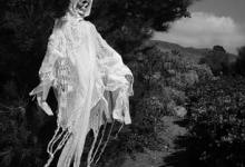 The Spirit of Ortega Ridge Road