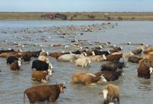 Jim Keen’s Great Ranches of the West at the Vaquero Show