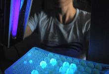 Nonprofit Steps in When County Stops Sea Sampling