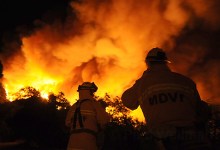 Judge Rules in Favor of Tea Fire Victims