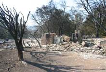 Houses Gone Along Coyote Road, Mountain Drive