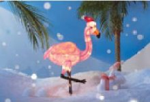 Holidays the Weird Way