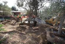 Westmont Okayed for Expansion – Once Again