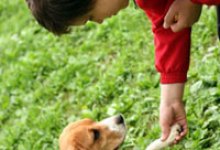 Preventing Dog Bites