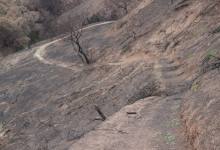 Parma Park Restoration Could Take Years