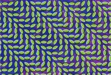 Animal Collective