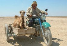 End of the Year, and the Decade