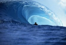 SBIFF ’09: Surf Movies and More