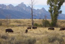 A Wyoming Adventure on the Cheap