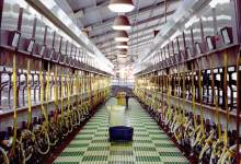 Food’s Power for Change