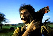 Poultry in Motion