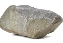 Set in Stone