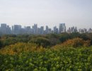Taste the Real New York