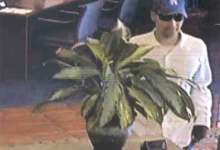 Sheriff Seeks Montecito Bank Robber