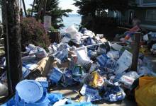 Will Deltopia Flourish in the Rain?