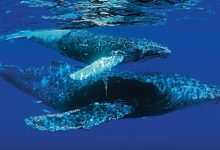 Welcome to Your Planet