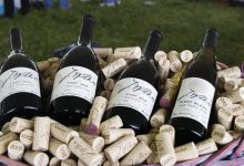 They Got Terroir, We Got Alma