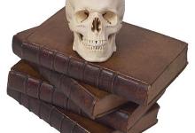 Hunting for Human Origins