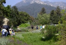 Botanic Garden Volunteers on Strike