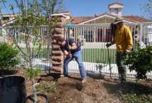 Playground Beautification Gets Underway