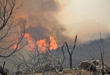 Firefighters Get a Daytime Break