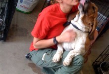 Animal Evacuees Start Heading Home