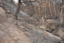 Volunteers Needed for National Trails Day Project