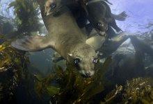 From the Depths