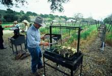 Saddle Up and Sip It Down