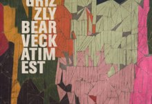 Grizzly Bear
