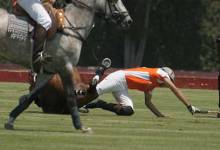 Polo Ponies Are Everything