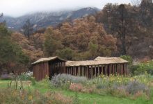 Botanic Garden Fixing Labyrinth