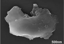 Tiny Gems, Cosmic Impact