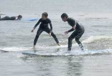 Man Seeks Home for Adopted Son’s Best Friend