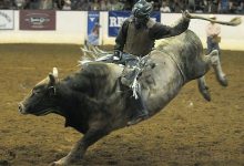 Professional Bull Riders Buck Through Santa Barbara