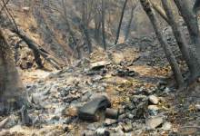 Pot Farmers Sparked Blaze