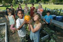 Back-to-School Gardening