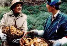 Julie & Julia & Santa Barbara