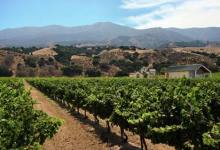 Make Way for Monterey