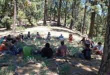 Getting Grief for Going Green