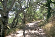 Douglas Family Preserve Improvements Scheduled Next Week