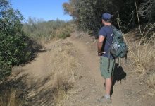 Illegal Trail-Cutting Efforts Continue to Concern Forest Officials