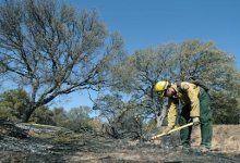 Paradise Fire Knocked Down