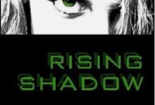 Young Adult Novels Set at UCSB