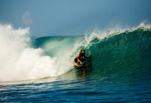 Surf Movies and Books