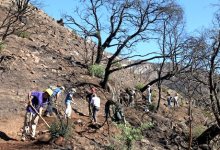 Rattlesnake and San Roque Side of Jesusita Trails to Re-Open Friday